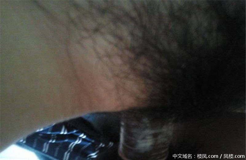 pic_003e88e2aa25c6bb169.jpg